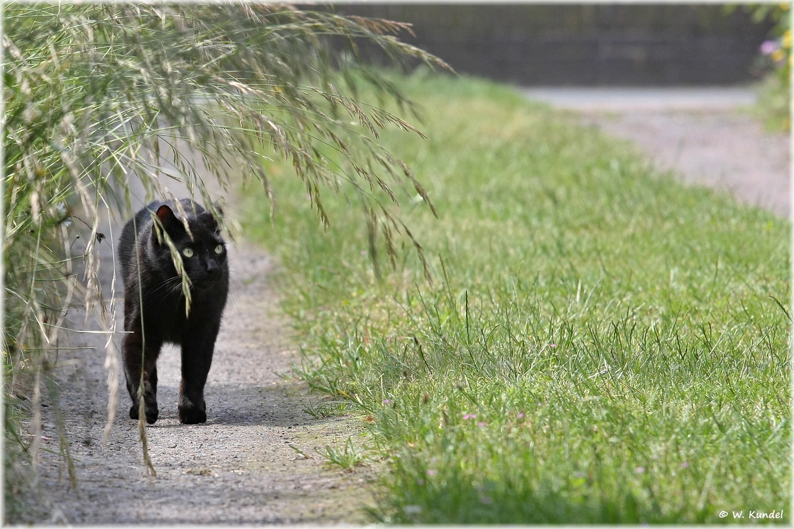 Beschi.....e Gartenpflege