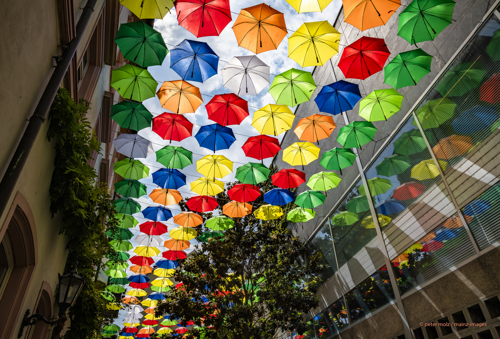 Beschirmte Rotekopfgasse | "Umbrella Sky" in Mainz