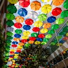 Beschirmte Rotekopfgasse | "Umbrella Sky" in Mainz