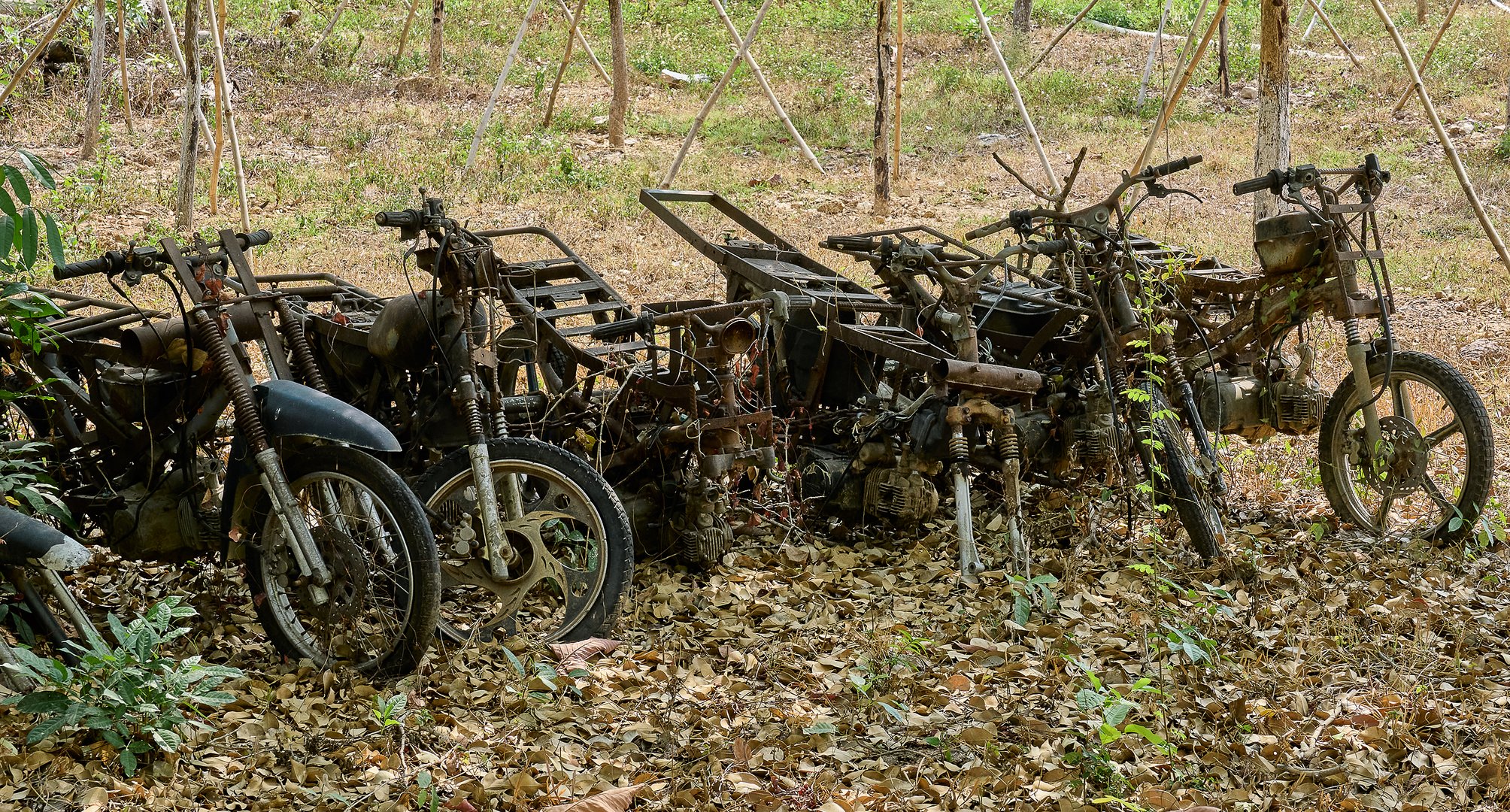 Beschlagnahmte Motorräder der Holzdiebe