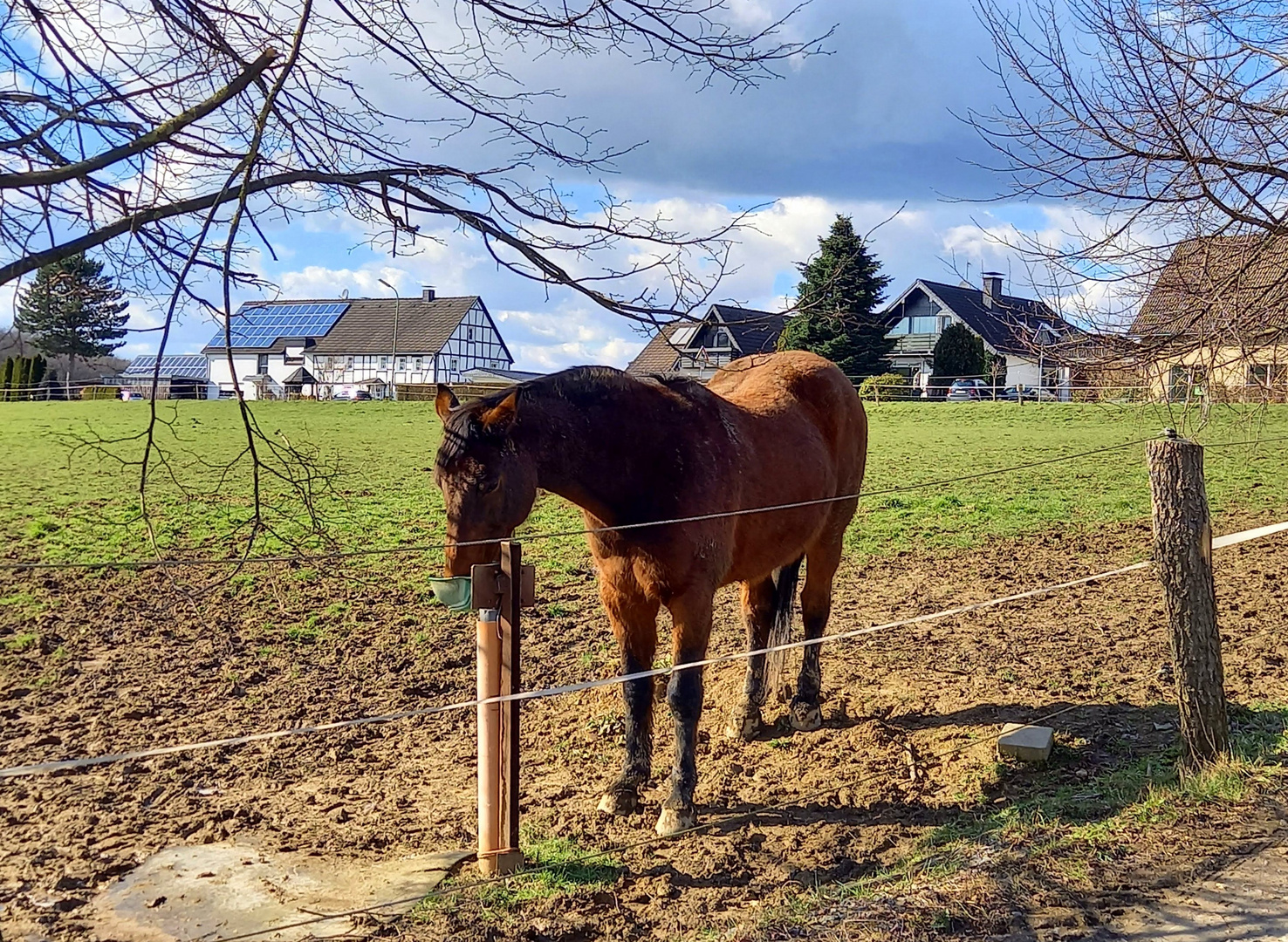 Beschränkt