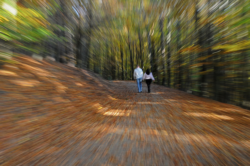 Beschwingt durch den Herbst