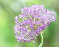 beschwingt in den Sommer