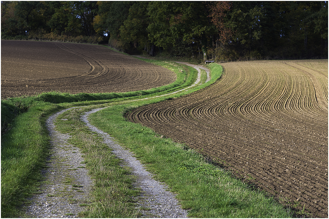 beschwingter herbst