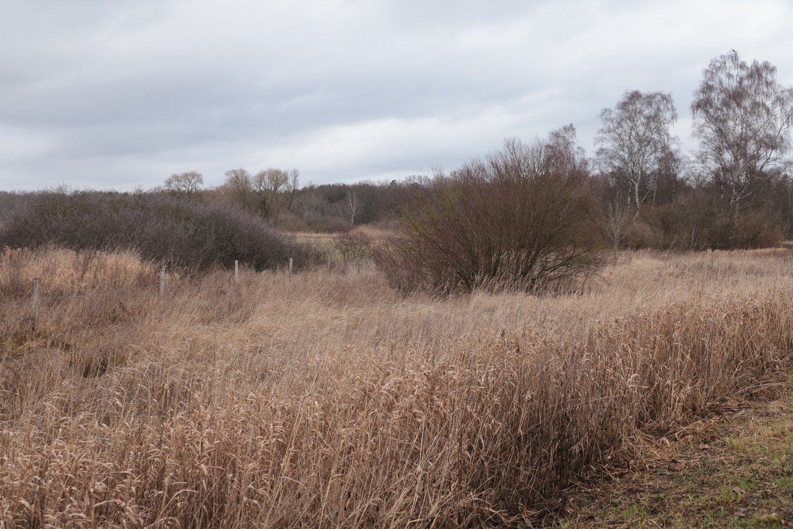 Besenhorster Sandberge