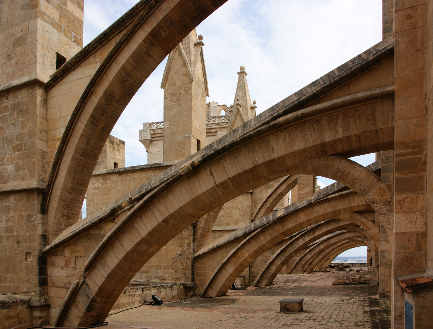 Besichtigung der Kathedrale La Seu von oben