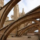 Besichtigung der Kathedrale La Seu von oben