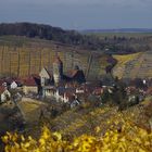 Besigheim am Neckar