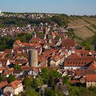 Besigheim im Frühling