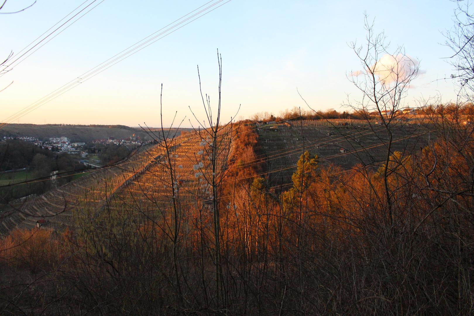 Besigheim in der Abendsonne vom Bietigheimer Forst aus (ehemals zu Besigheim)