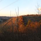 Besigheim in der Abendsonne vom Bietigheimer Forst aus (ehemals zu Besigheim)