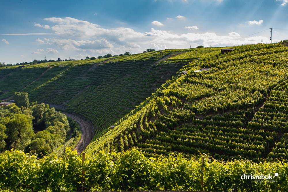 Besigheimer Wurmberg, Würtemberg