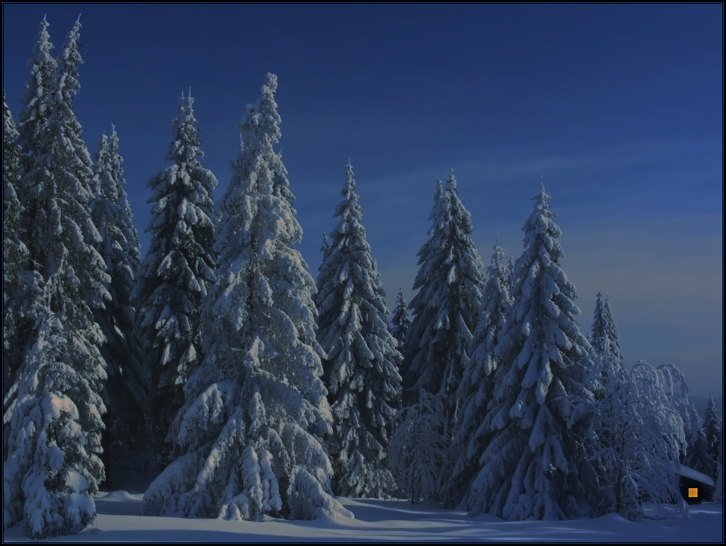 BESINNLICH-FROHE WEIHNACHTEN...