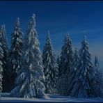 BESINNLICH-FROHE WEIHNACHTEN...