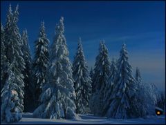 BESINNLICH-FROHE WEIHNACHTEN...