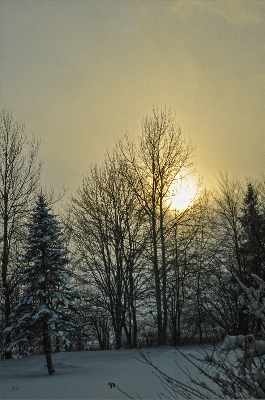 ~besinnliche AbendStimmung~