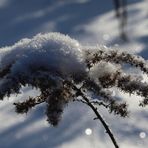 Besinnliche Feiertage