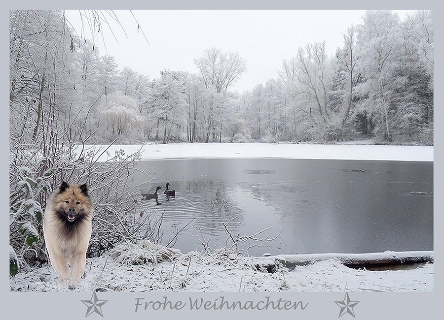 Besinnliche Weihnachten