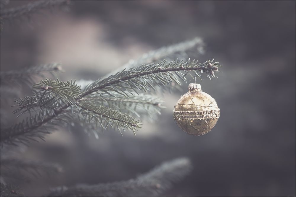 Besinnliche Weihnachten Foto & Bild weihnachten, spezial
