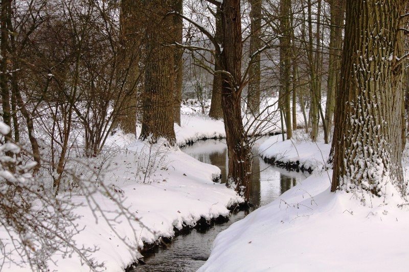 Besinnliche Weihnachten