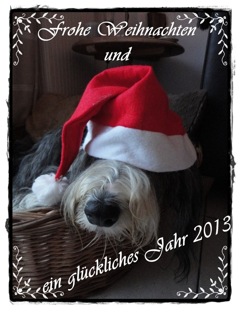 besinnliche Weihnachtszeit oder ....lass mich doch mal in Ruhe schlafen