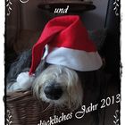 besinnliche Weihnachtszeit oder ....lass mich doch mal in Ruhe schlafen