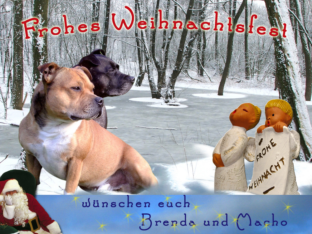 Besinnliches Weihnachtsfest.........