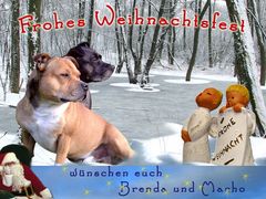 Besinnliches Weihnachtsfest.........