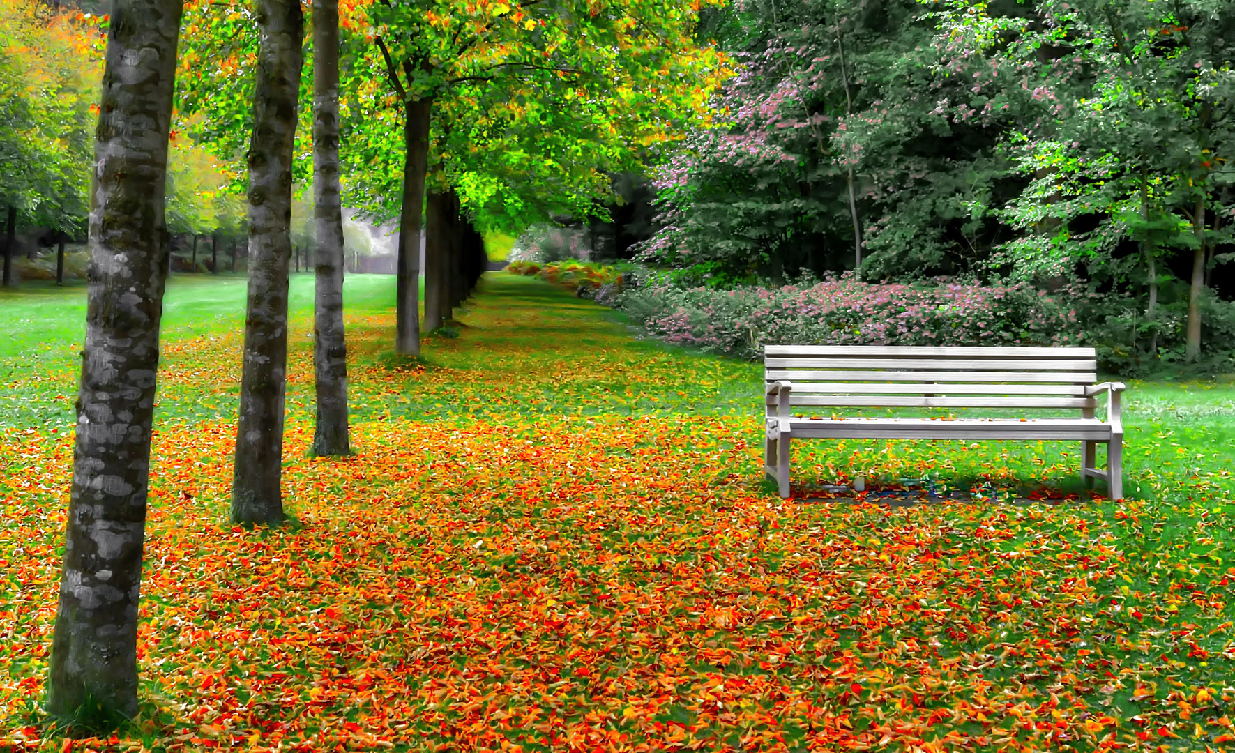 Besinnlichkeit im Park von Schloß Clemenswerth.