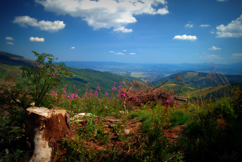 Beskid &#346;l&#261;ski