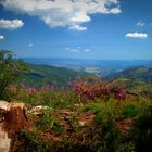 Beskid &#346;l&#261;ski