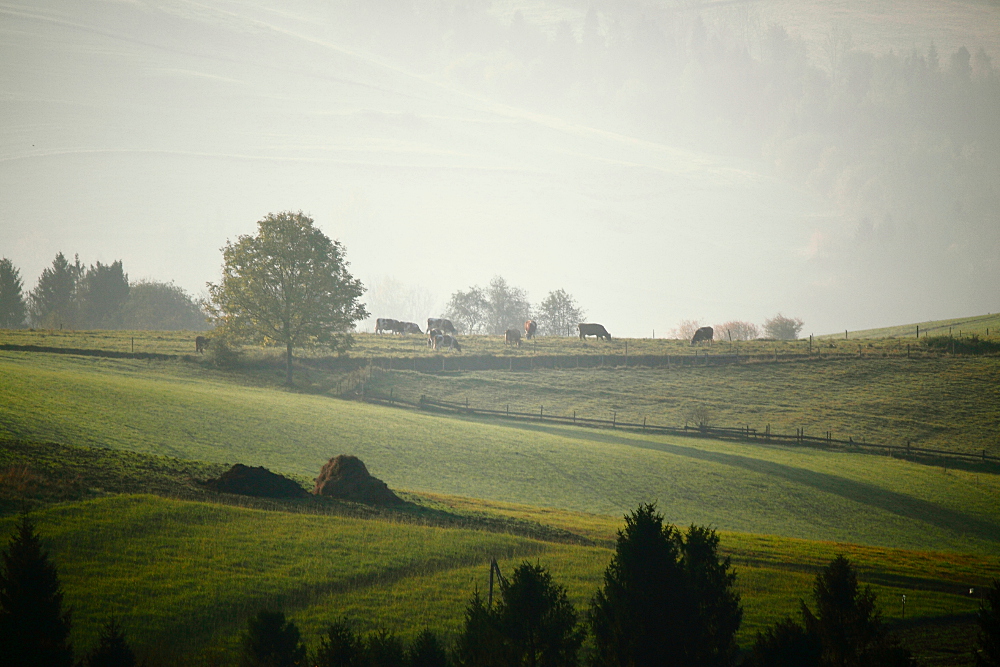 Beskid Wyspowy in the morning