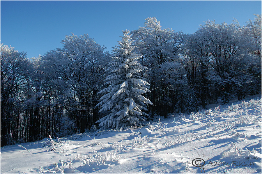 Beskiden im Winter / Polen