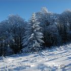 Beskiden im Winter / Polen