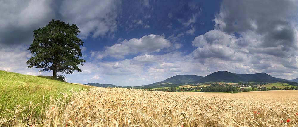 BESKYDY - KOZLOVICE