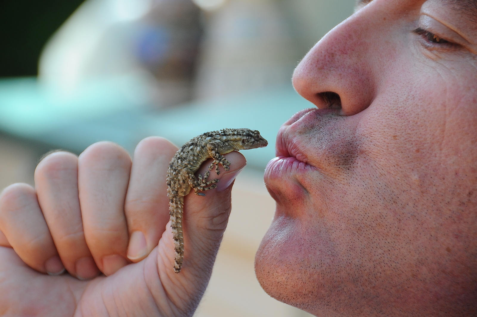 Beso a la naturaleza ......(Para el proyecto BESO)