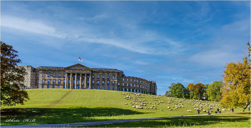 Besondere Rasenmäher am Schloss im Bergpark.