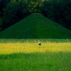 Besonderer Parkbesucher