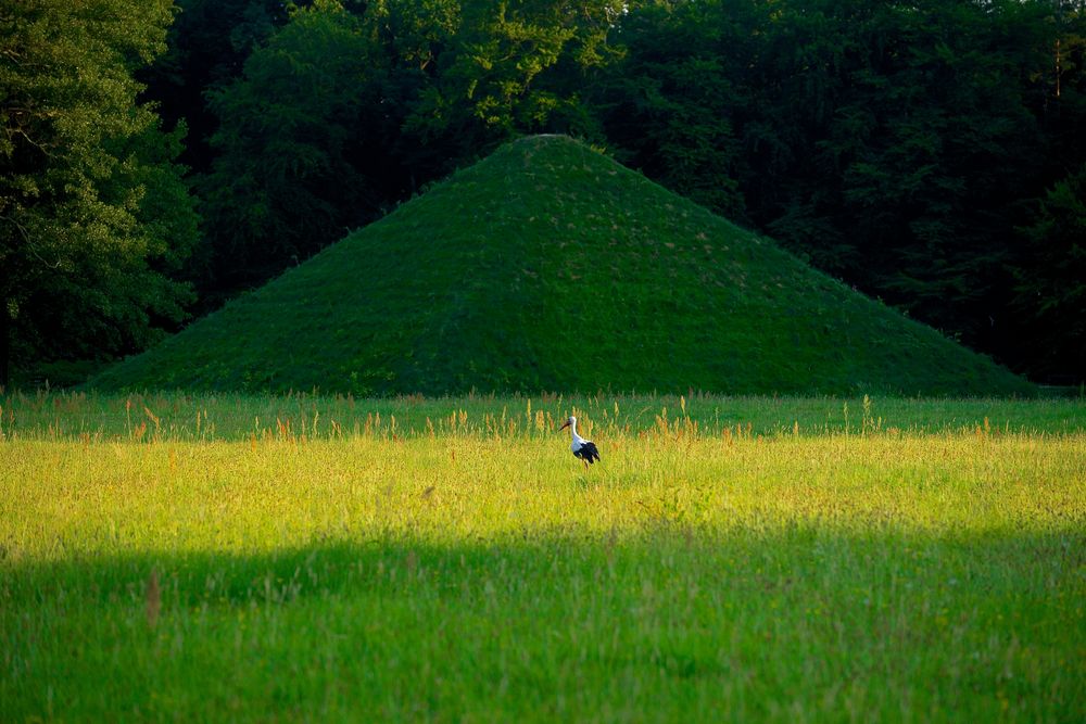 Besonderer Parkbesucher