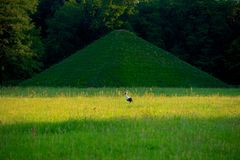 Besonderer Parkbesucher