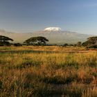 Besonderes Licht am Kilimanjaro