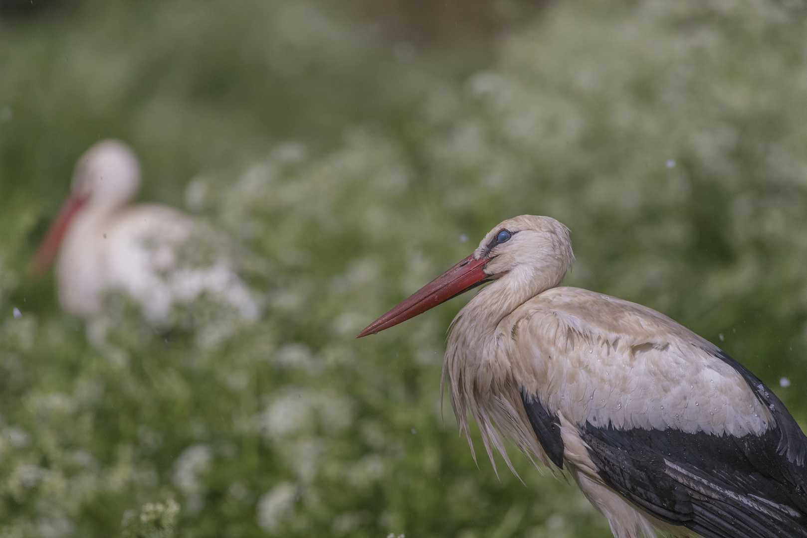 besorgter Blick nach oben