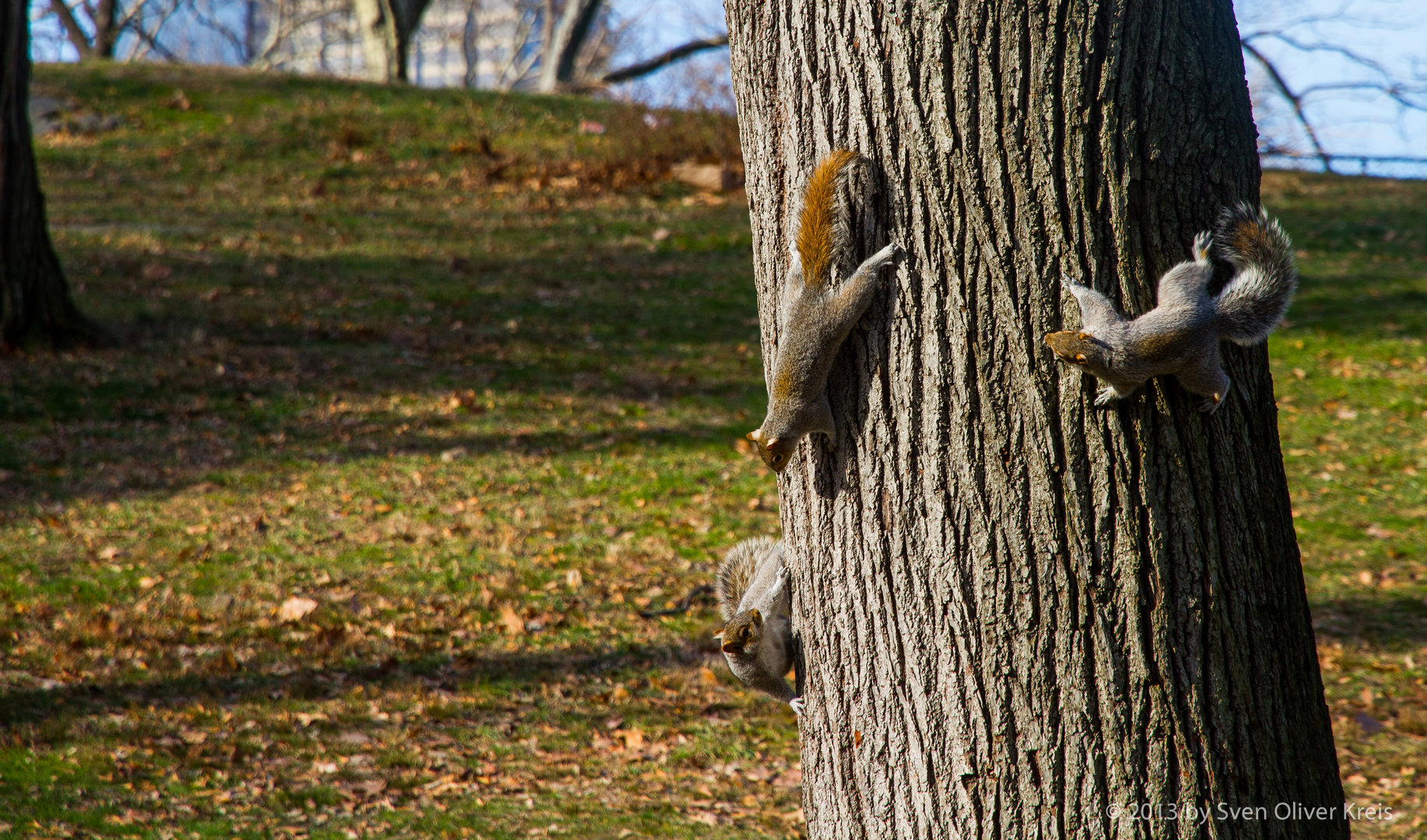 Besprechung im Central Park