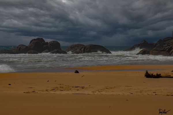 Besser ab nach Hause! / Better go home!