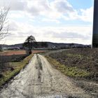 Besser Fahrrad und Feldweg 