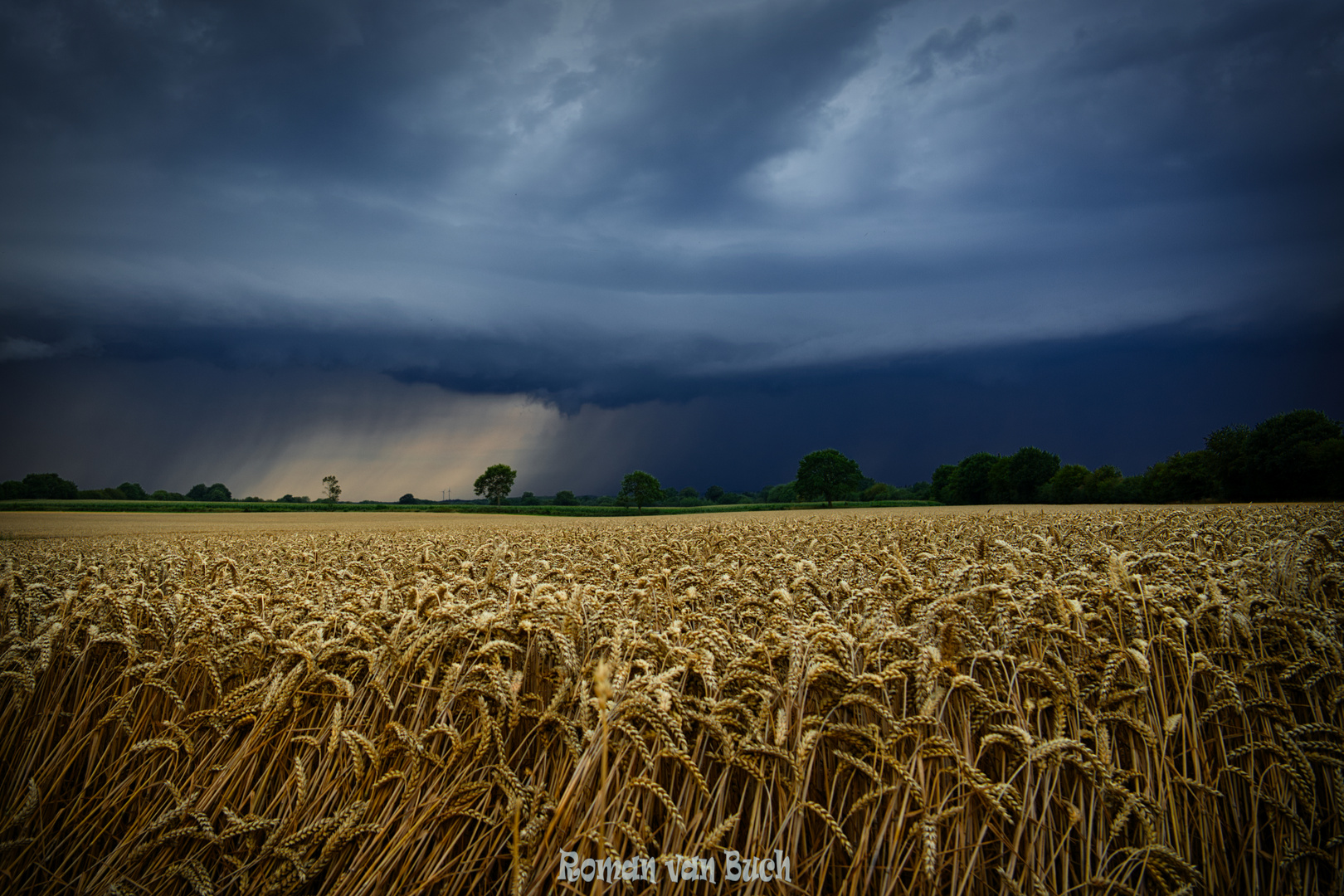 Besser kein Bett im Kornfeld