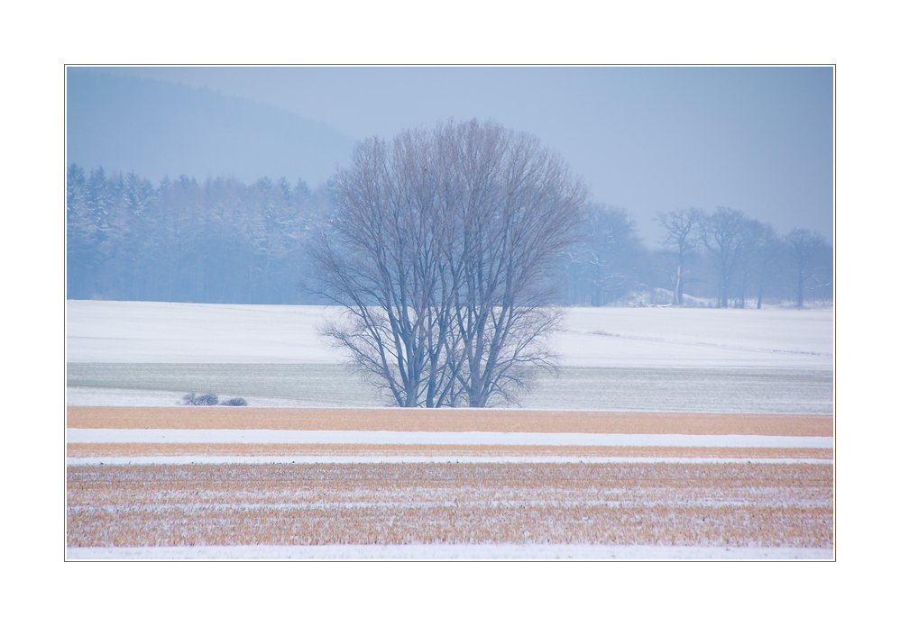 ...besser Schnee an der Wand... - oder: Winterfarben...