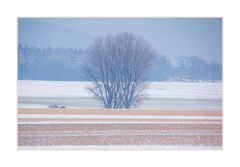 ...besser Schnee an der Wand... - oder: Winterfarben...