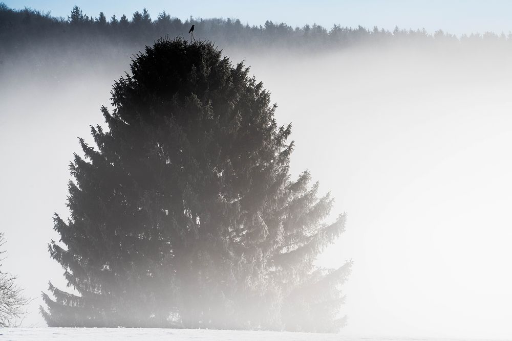 Bessere Sicht über dem Nebel :-)