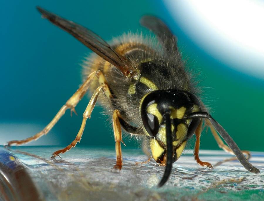 Besserer Aufbau - geringere Schärfe!